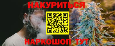 сатива Камышлов