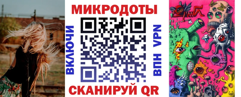 Псилоцибиновые грибы Psilocybine cubensis  Конаково 