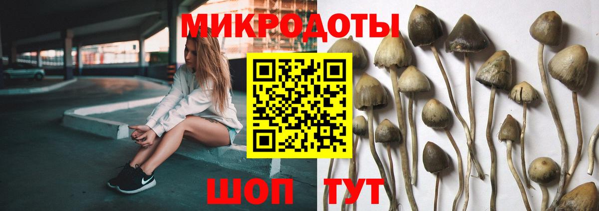 Псилоцибиновые грибы GOLDEN TEACHER  Галлюциногенные грибы ЛСД  Вход с VPN  Конаково 
